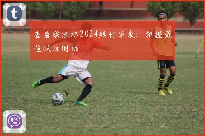 查看欧洲杯2024赔付率表：把握最佳投注时机