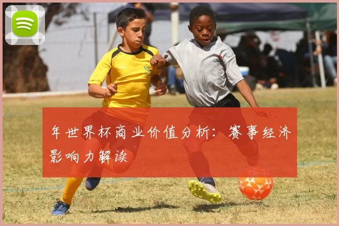 年世界杯商业价值分析：赛事经济影响力解读