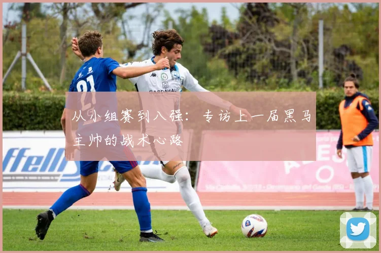 从小组赛到八强：专访上一届黑马主帅的战术心路