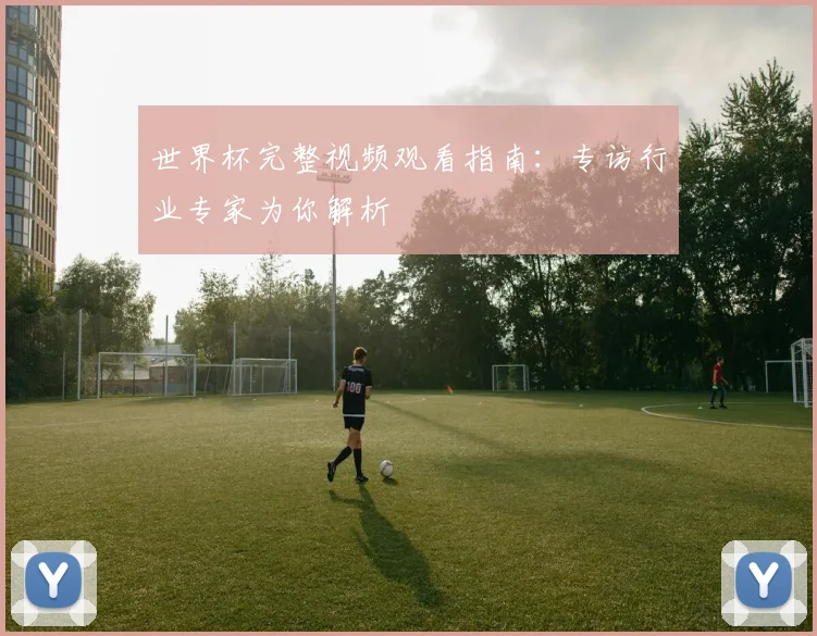 世界杯完整视频观看指南:专访行业专家为你解析