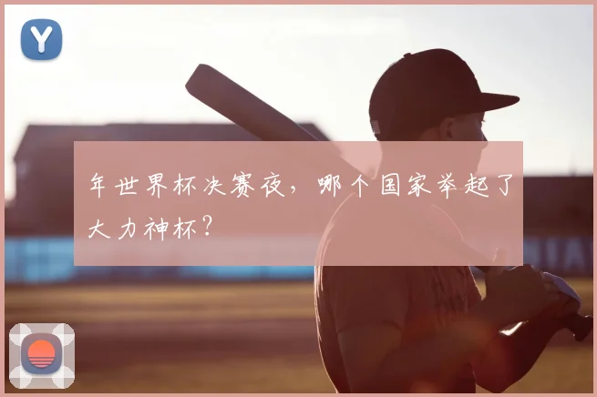 年世界杯决赛夜，哪个国家举起了大力神杯？
