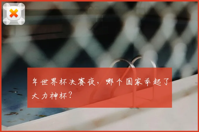 年世界杯决赛夜，哪个国家举起了大力神杯？